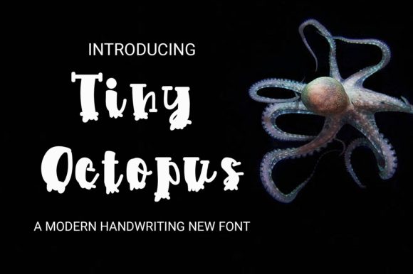 Tiny Octopus: A Playful Display Font That Feels Like a Design Win